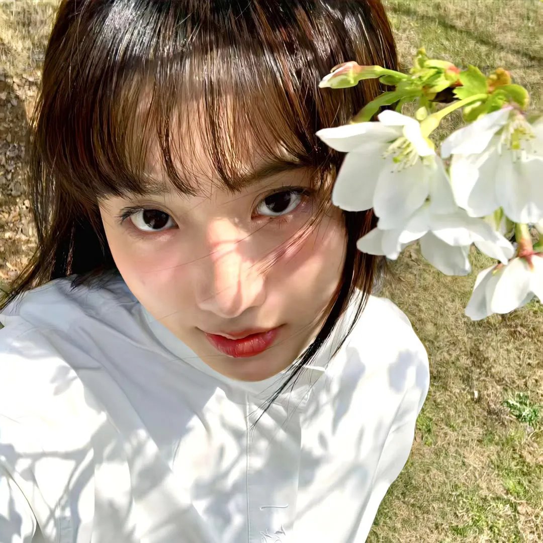 球王贝利：巴西足球传奇